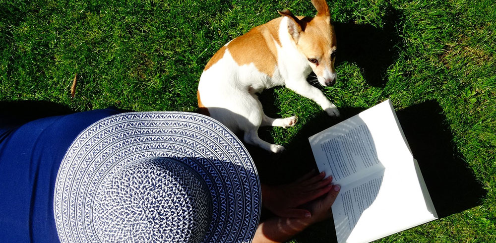 happy dog laying on grass looking at a book